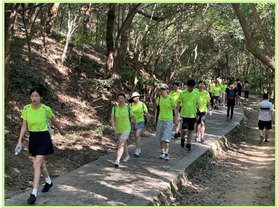 南宫NG28相信品牌的实力网址(中国)官网